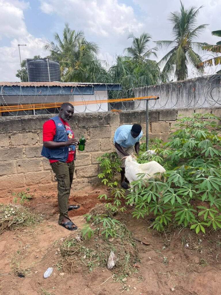 Alex Tetteh invokes curses on Atta Akyea over alleged Heathrow meeting with Ken Agyapong