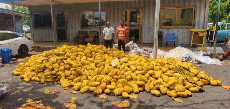 Tema police intercept truck loaded with 3,000 slabs of suspected weed, refuse GH¢150k bribe