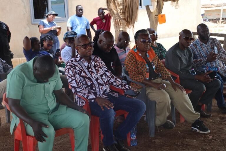 Emelia Arthur announces construction of modern Fish Market in Dambai
