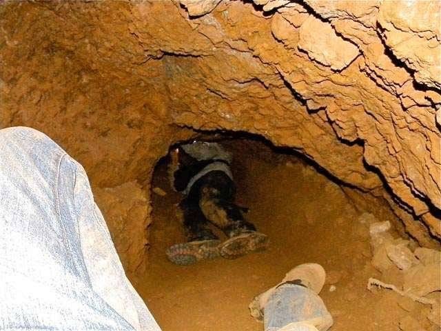 9 trapped in Konongo mining pit collapse, rescue underway