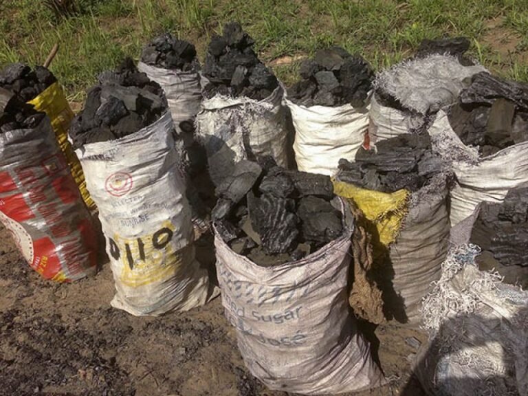 Charcoal emerges as Ghana’s top inflation driver with 50% price surge – Statistician