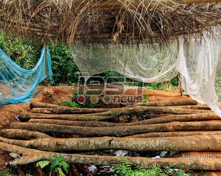 The1957News investigative report uncovers serious infrastructure challenges at Peki Senior High Technical School