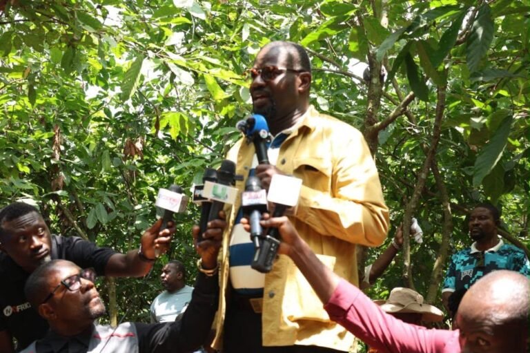 Annoh-Dompreh slams GH¢2,650 cocoa price, says farmers deserve better