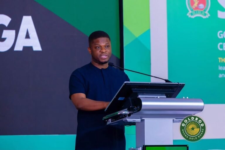 Sammy Gyamfi backs Mahama’s directive to restore NACOC at ports