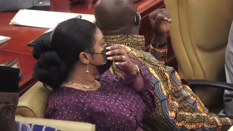 Three petition CID to investigate alleged impersonation of Adwoa Safo during 2021 Budget approval